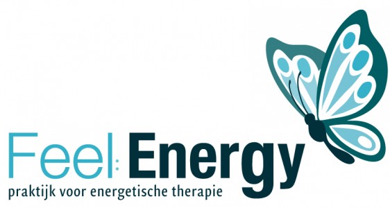 Logo Feel Energy