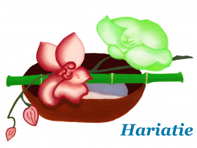 Logo Hariatie