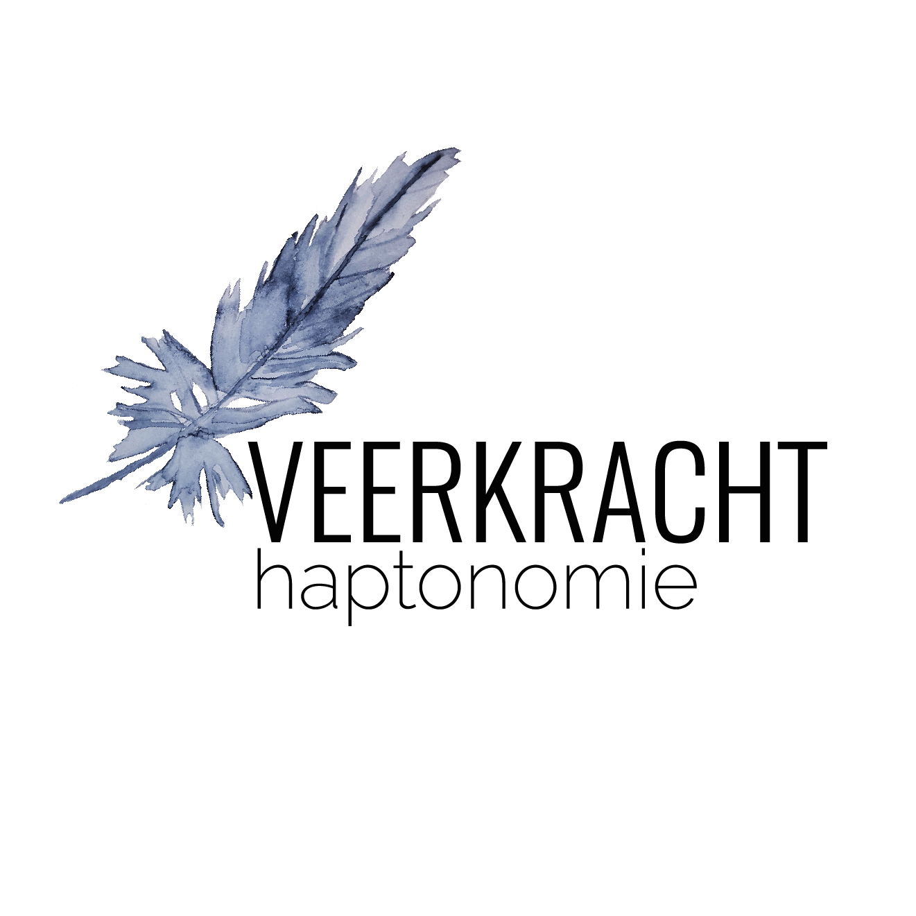 Logo Veerkracht Haptonomie