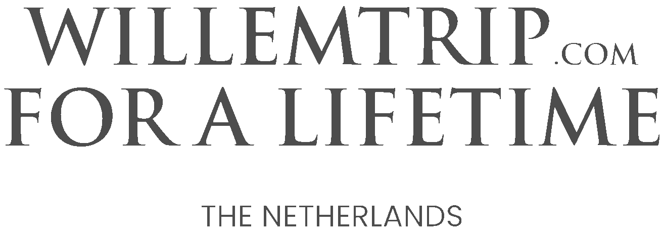Logo Willem Trip Therapie